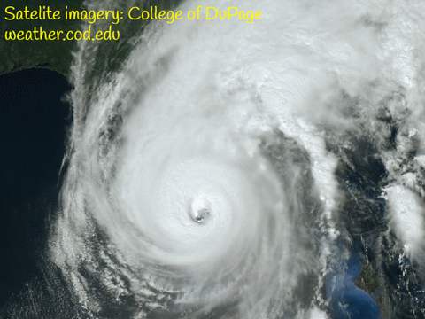 Some of the video I've found from Hurricane Ian