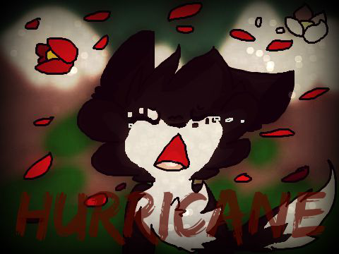 Hurricane CCE