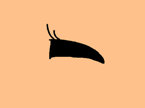 Animation test (and yes I’m back)