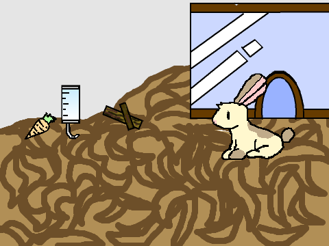 Bunny pet simulator