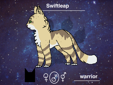 Warriors  :  New Generation Bio Sheet Swiftleap