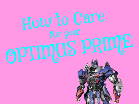 How to Care for your Optimus Prime