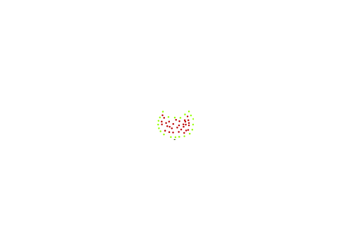 trace the flower