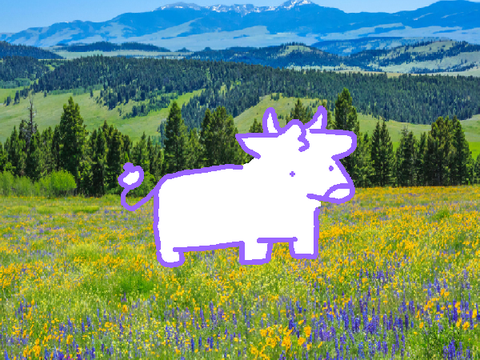 moo