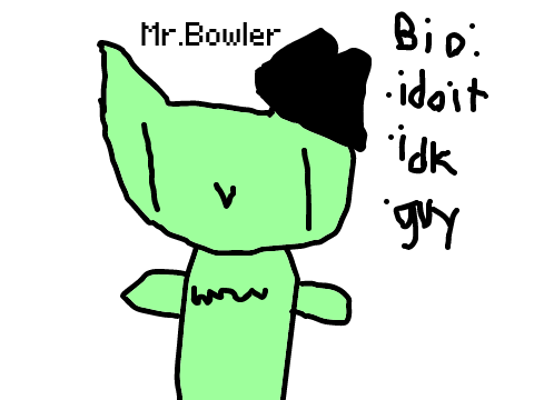 Meet Mr.Bowler