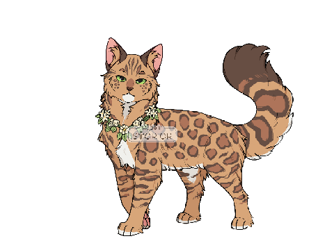 Fern