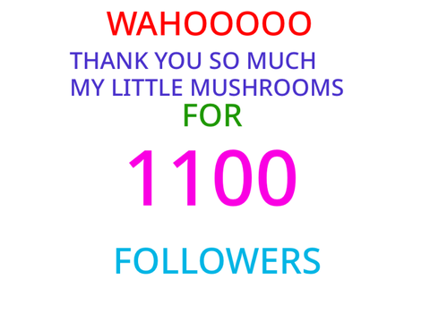 Thank you so much guys !!!