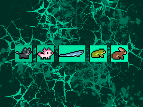 Pet Vote