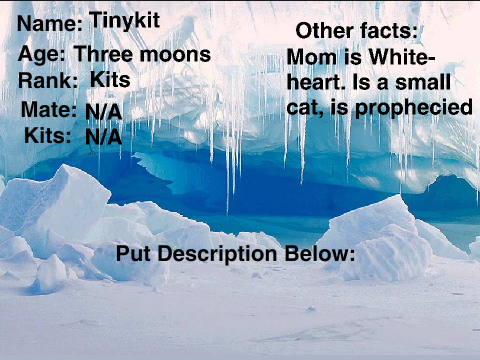 SnowClan Bio Tinykit