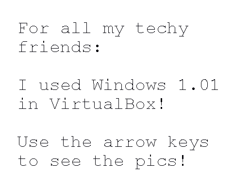 I used Windows 1.01 in VirtualBox!