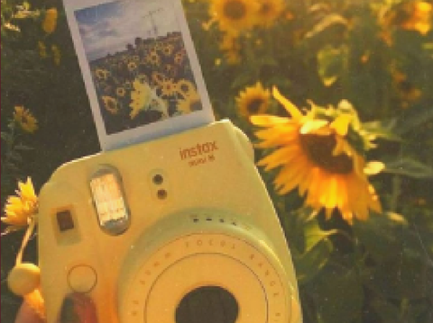 -`,happiness ',-