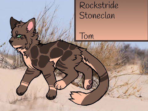 Rockstride | Deputy