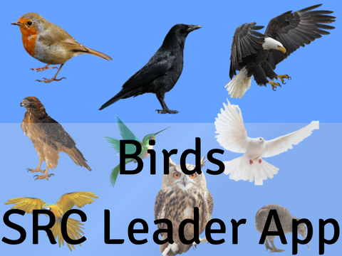 Birds | SRC (Co)Leader Application