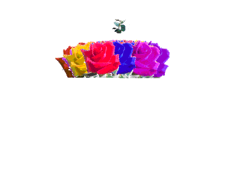 Bouquet of roses for Kika