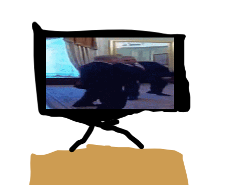 tv iN 2022