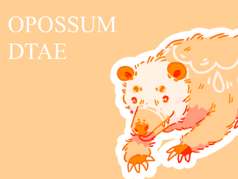 Tangerine Opossum DTAE 