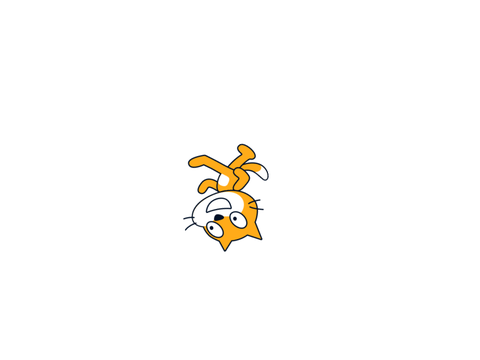 www
