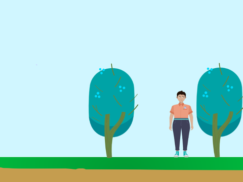 trees