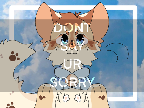 Don't Say Ur Sorry Meme 