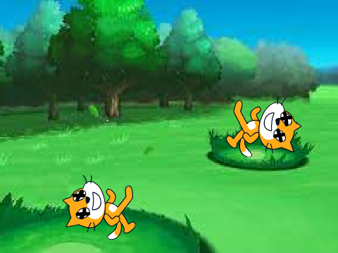 When Two of the Same Pokemon battle: