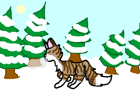warrior cat drawing contest entry