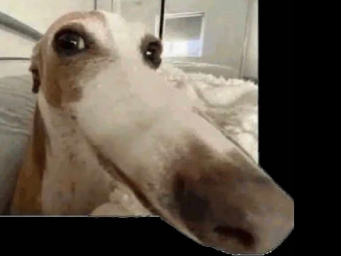 ymthlyfymbikwhrlyfiybnlsph