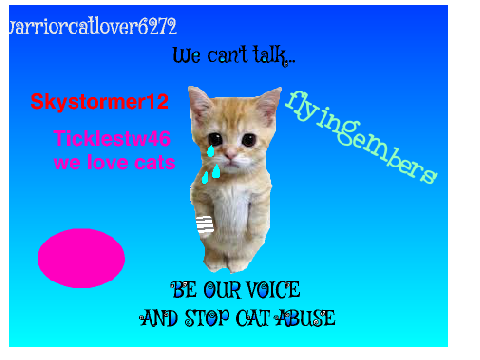 Sign here to stop cat abuse! remix remix remix