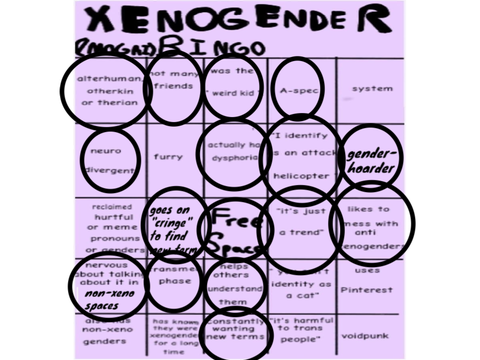Xenogender bingo???