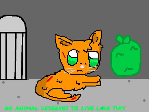 Save the animals
