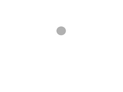 Coin flip