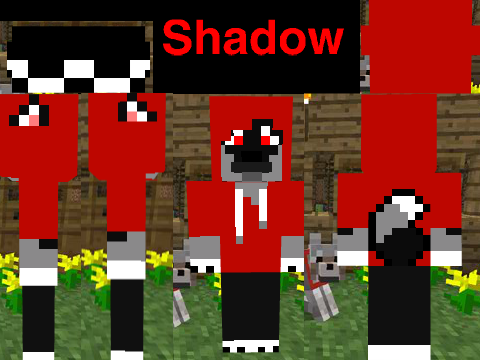 Minecraft skin + music