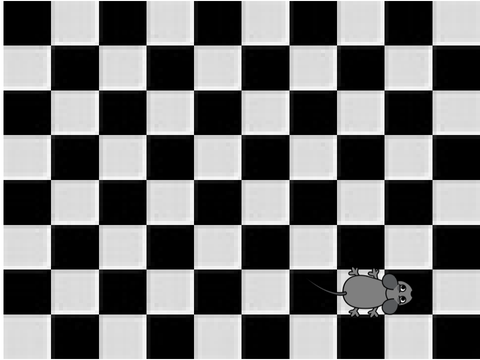 Catch the Mouse!!