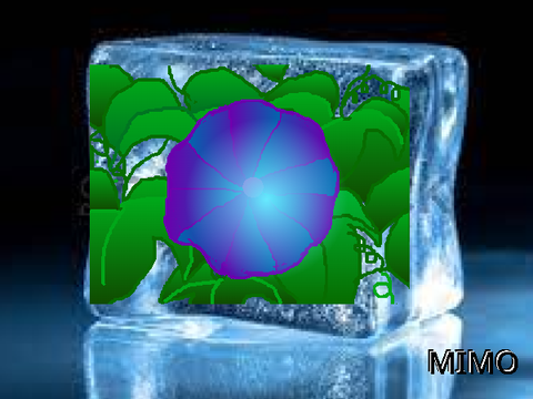 ーFlower in ice