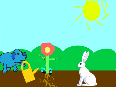 plants