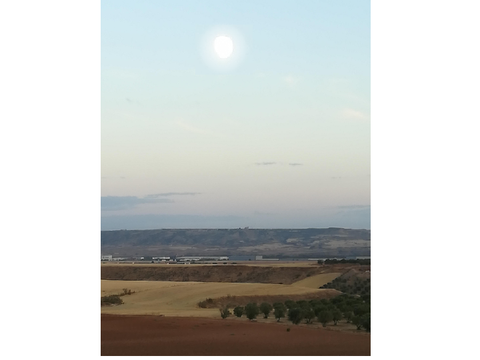 The plains