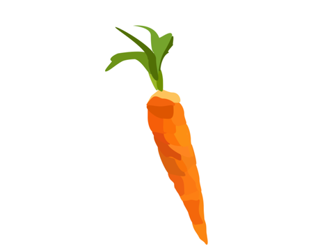 Carrot 