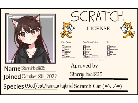 Scratch License