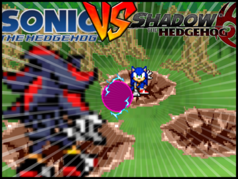 Sonic vs Shadow