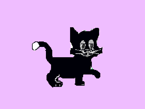 black cat