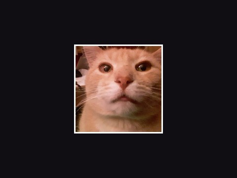 (old) nick test [v1.0]