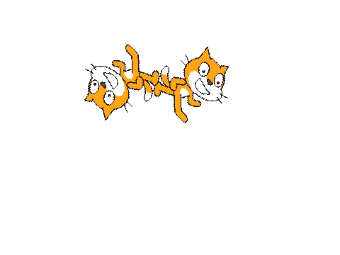 opposite cats