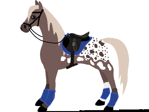 Tack for @-Horse_Whisperer-