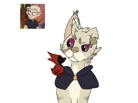 Hunter as a cat 