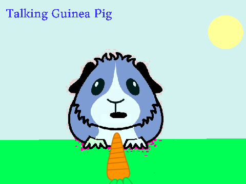 talking multicolour guineapig