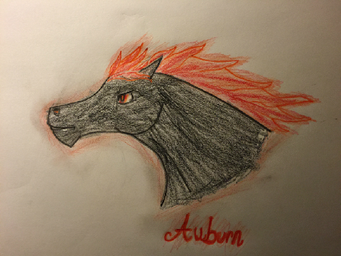 Art Request - Auburn