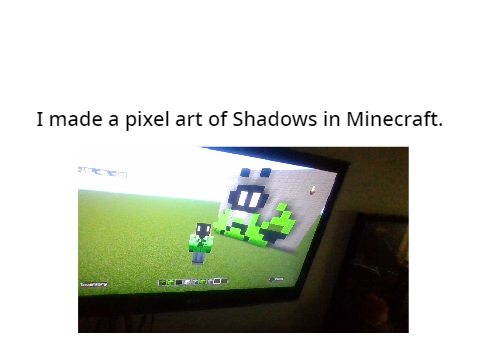 i made a pixel art of shadows in minecraft