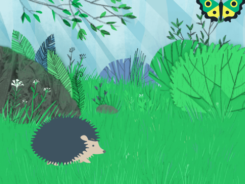 Butterfly in the Forest  remix HJ
