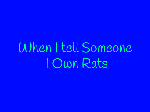 When I tell someone I own rats