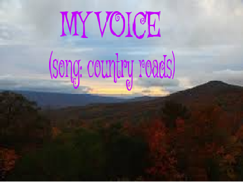 MY VOICE