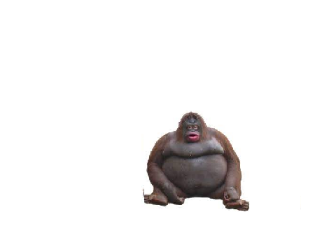 tap the monke :P